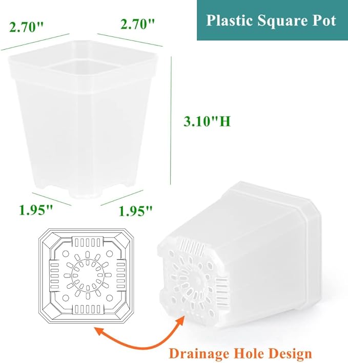 BangQiao 120 Pack Small 2.70 Inch Clear Plastic Square Nursery and Seedling Pot Container, Seed Starting Transplant Planter with Drain Hole for Germination