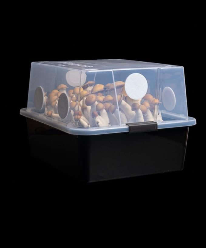 Grower's Select 66Q Large Mushroom Monotub Fruiting Chamber with Filter Disks and Liner