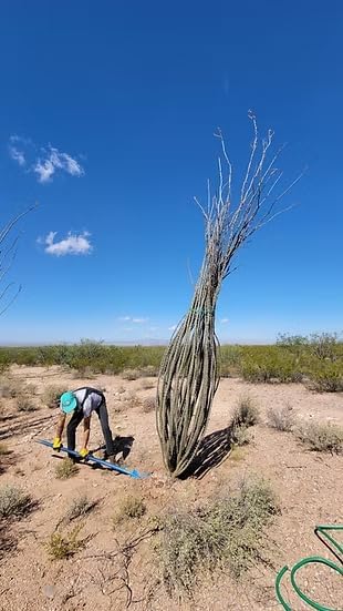 Sharpshooter Spade Shovel 78 Inch Drain Spade Trenching Shovel - Weighted Long Handle Sharp Shooter with Hardened Chromoly 15 Inch Head