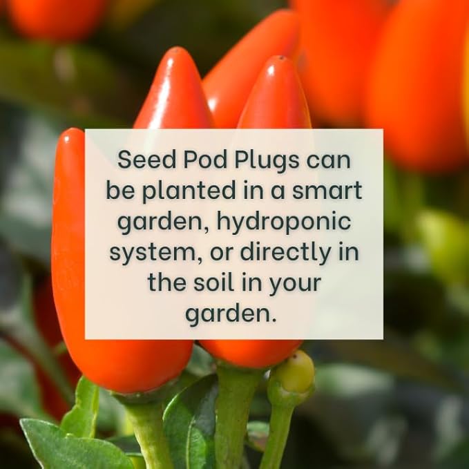 Taquito Pepper - Complete Seed Pod Plugs with Plant Food - 10 Pods for Hydroponic Gardens, Click and Grow, Lettuce Grow and Outdoor Gardens