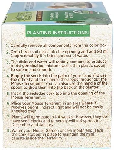 Mini Office Cactus Glass Terrarium Starter Kit with Complete Supplies - The Desert Mouse Tiny Garden - Fun to Grow, Low Maintenance - Perfect for The Indoor Office Or Home Tabletop or Desk!