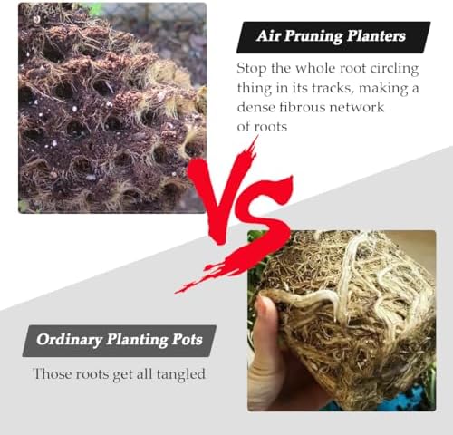 1 Gallon Air Pruning Containers, New Plastic Nursery Pots, Fruit Vegetable Garden Self-Planting Pots, Black (1G-10P)