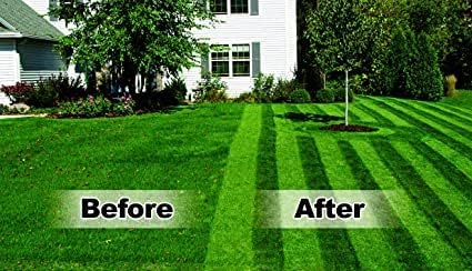 Lawn Stryper- Generation 3 Lawn Striping System/Stripe Your Lawn Like A Ballpark/Works with Toro and Other Brands 20"- 22" Gas and Battery Powered Walk-Behind Lawn Mowers (See Mower List Below)
