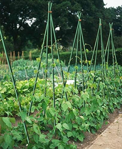 4ft Garden Stakes for Plants Vegetable Fence Post, 1/4" Dia x 48", Fiberglass Stakes Tree/Cucumber/Bean Pole Stak Rust-Free, Pack of 40