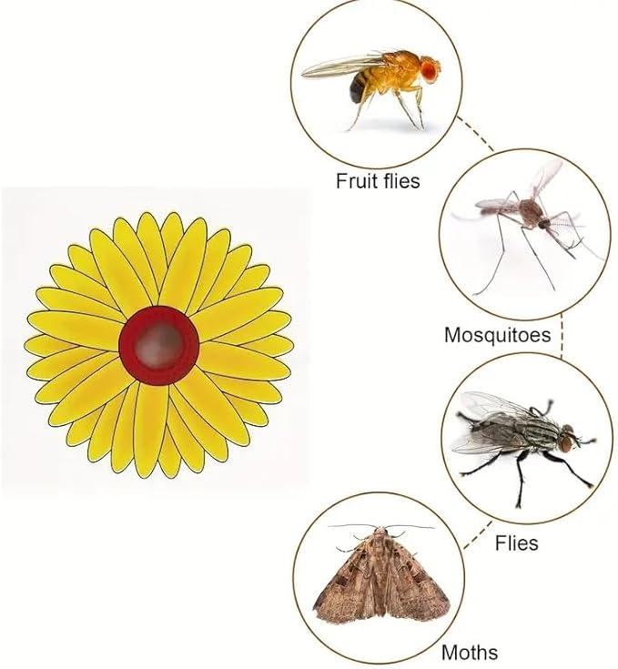 Window Fly Trap Fruit Fly Trap Indoor | Catch & Kill Houseflies, Flying Insects & Bugs | Non-Toxic Sticky Glue Traps | Beautiful Sunflower Design not only as a Fly Trap but Also a Decoration 20 Pack