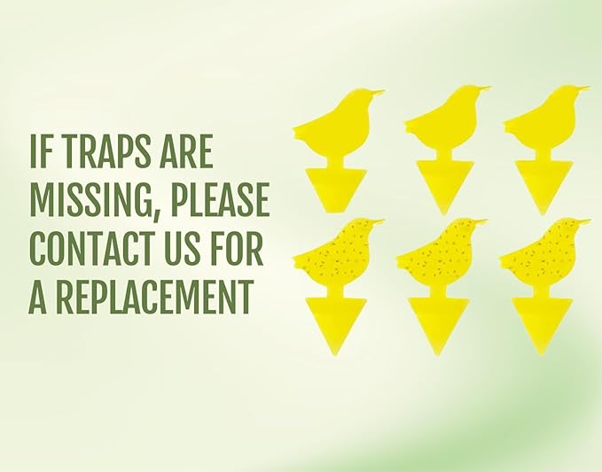 Kate's Home & Garden Plant Spray for Insects & Getting Rid of Gnats with 12 Sticky Traps. Fungus Gnat Killer & Bug Spray for Indoor Plants (16oz, Peppermint, Pet Safe, Non Toxic)