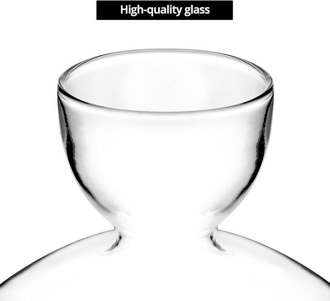 QWORK Avocado Seed Starter Vase, 2 Pack Glass Avocado Seed Growing Vase -Avocado Seed Sprout Glass Container, Tapered Base Design, 36oz Capacity -for Hydroponics Plants Home Office Wedding Decoration