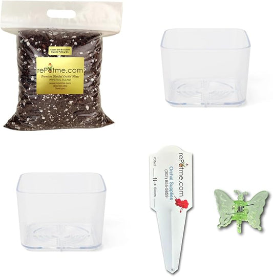 Cactus & Succulent Starter Kit