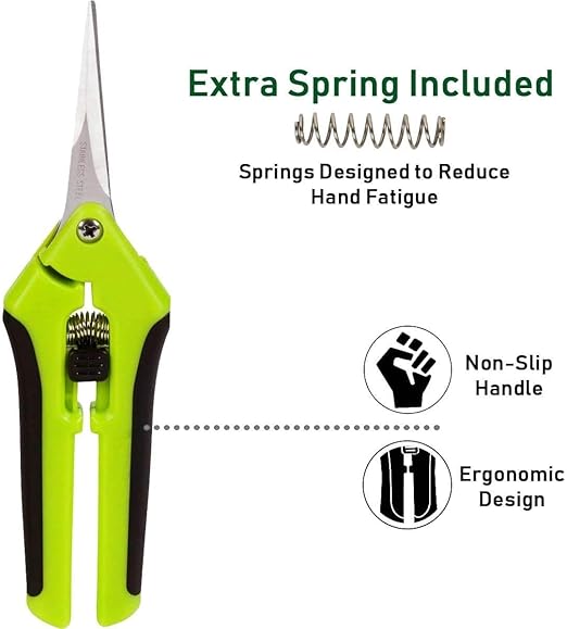 Grodan A-OK 1.5" Seedling/Clone Cubes with Propagation Tray Catch Tray, Scissors and Clonex Cloning Gel and Scissors