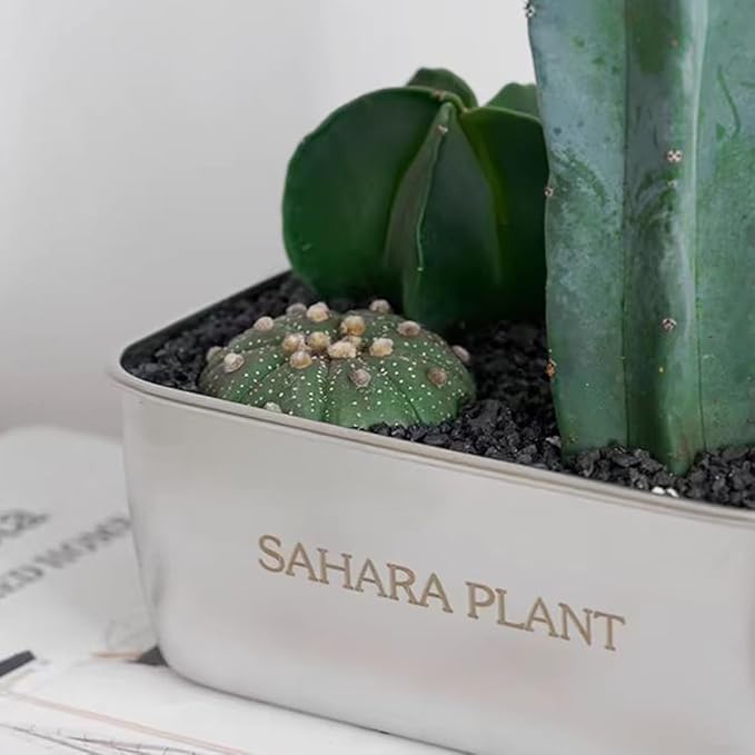 Black Horticultural Lava Rocks for Plants, 5lb Succulents Cactus Bonsai Soil Volcanic Rocks for Aquarium Outdoor Decorative Stones for Craft Projects, Vase Fillers