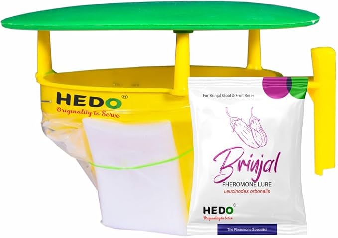 HEDO Pheromone Trap with Brinjal pheromone Lure(Leucinodes orbonalis) for Brinjal Crop Pack of 10
