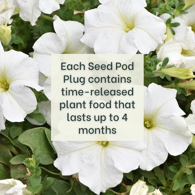 White Petunia - Complete Seed Pod Plugs with Plant Food - 10 Pods for Hydroponic Gardens, Click and Grow, Lettuce Grow and Outdoor Gardens