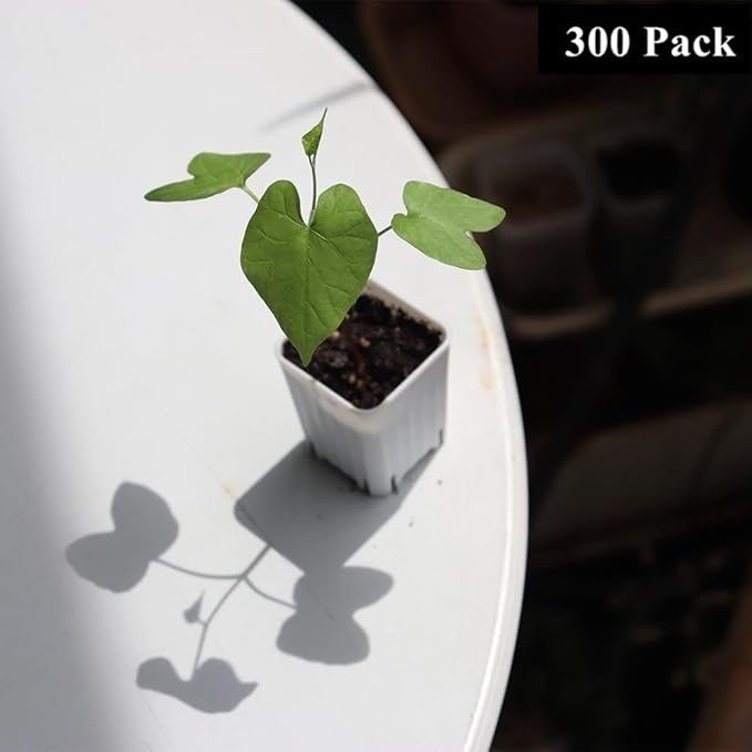 BangQiao 300 Pack 1.55 Inch Tiny White Plastic Square Nursery and Seedling Pot, Mini Transplant Seed Starter Planter with Drain Hole for Germination, Herb, Succulent