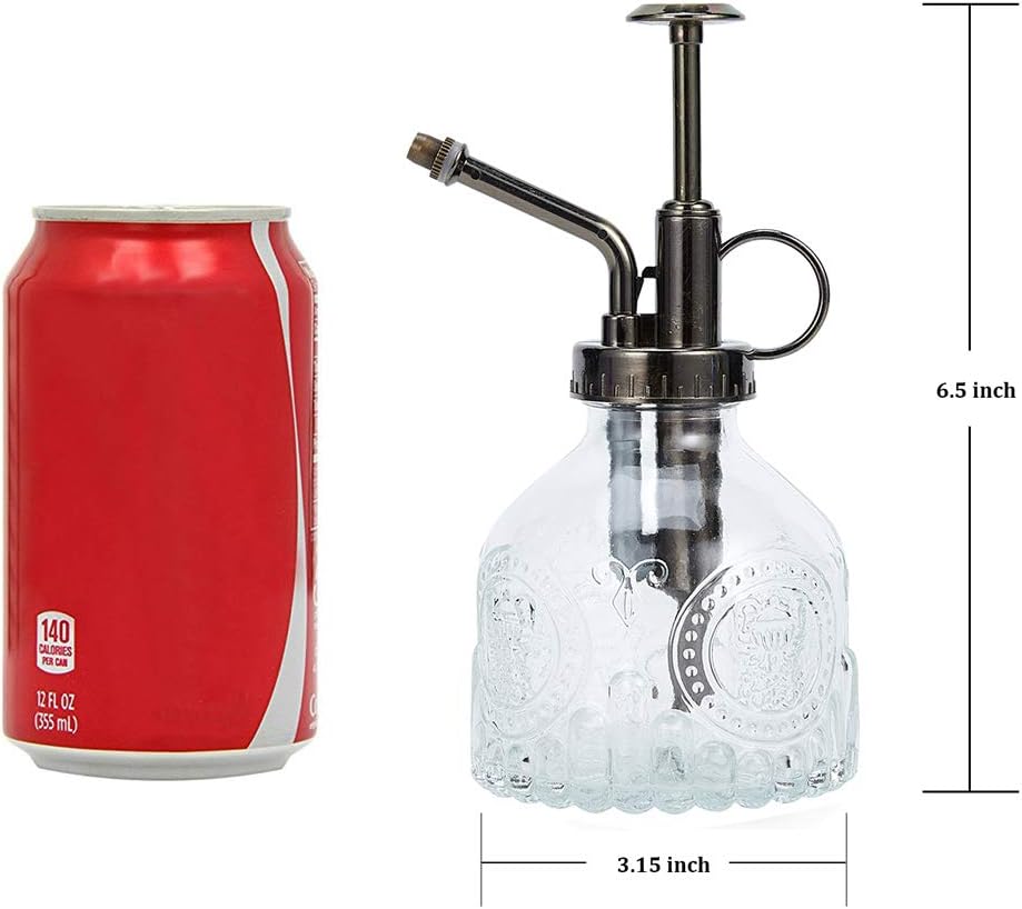 Glass Plant Mister Spray Bottle, 6.5" Tall Vintage Plant Spritzer Watering Can, Succulent Watering Bottle with Top Pump, Small Plant Sprayer Mister for Indoor Outdoor Houseplant - Clear