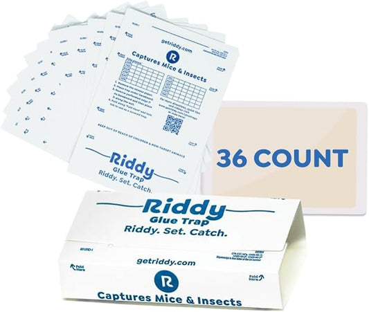 Riddy Glue Boards, 36 Boards, Pre-Baited, Ready to Use Mouse Traps Indoor for Home, Sticky Adhesive for Bugs and Rodents, 5.5" x 7.5"