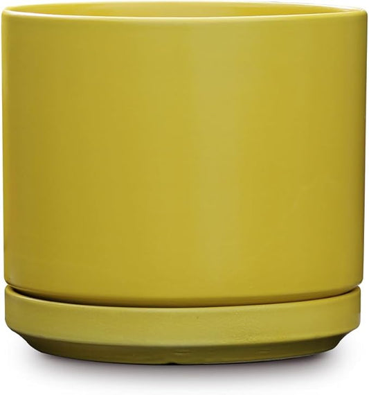 Mid Modern Planter with Detached Saucer (Bumblebee,14.0" D x 12.0" H)