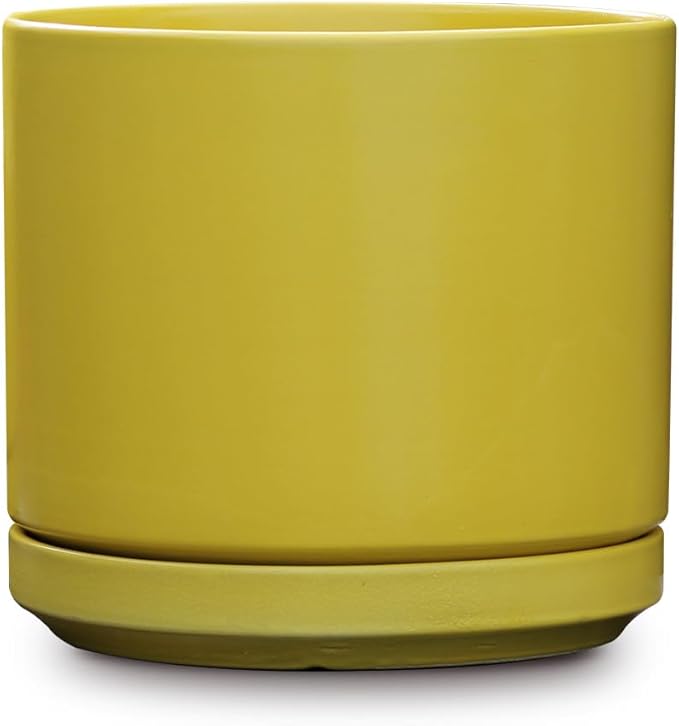 Ceramic Mid Modern Planter Pots with Detached Saucer - Indoor/Outdoor Plant Pots with Drainage Hole