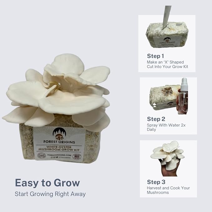 White Oyster Mushroom Grow Kit, Beginner Friendly & Easy to Use, Grows in 10 Days | Handmade in California, USA | Top Gardening Gift, Unique Gift