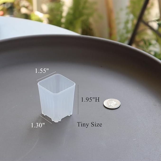 BangQiao 300 Pack 1.55 Inch Tiny Clear Plastic Square Nursery and Seedling Pot, Mini Transplant Seed Starter Planter with Drain Hole for Germination, Herb, Succulent