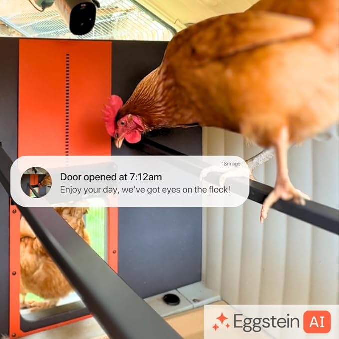 Coop Smart All-in-One Chicken Kit – Includes Automatic Door, and (2) AI CoopCams for 4-6 Chickens, Solar Optional