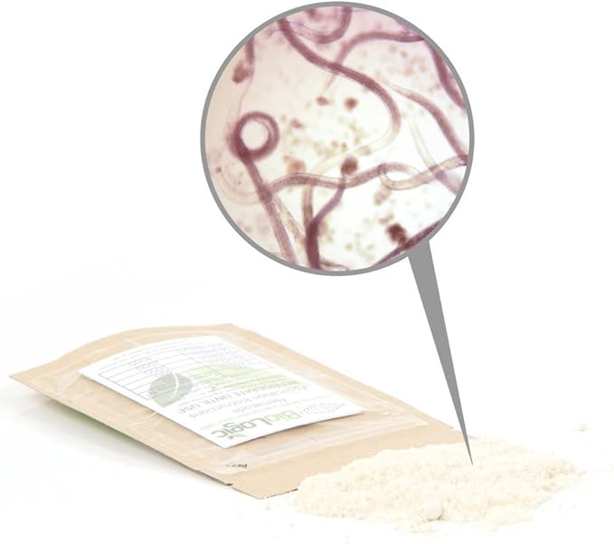 BioLogic Scanmask Steinernema Feltiae (Sf) Beneficial Nematodes for Natural Insect Pest Control, 5 Million Size
