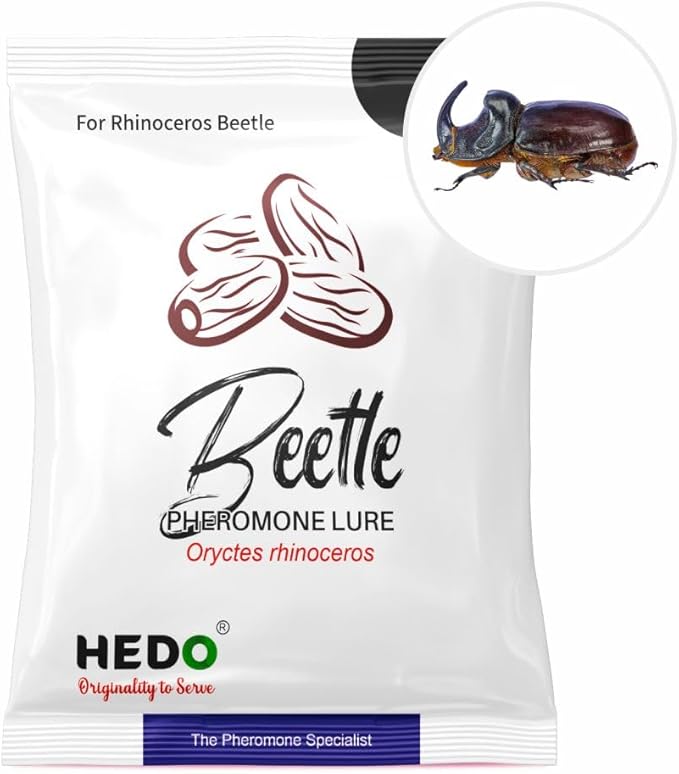 HEDO Pack of 10 Rhinoceros Beetle Pheromone Trap with Lure and Bucket Trap to Control Damage in Coconut
