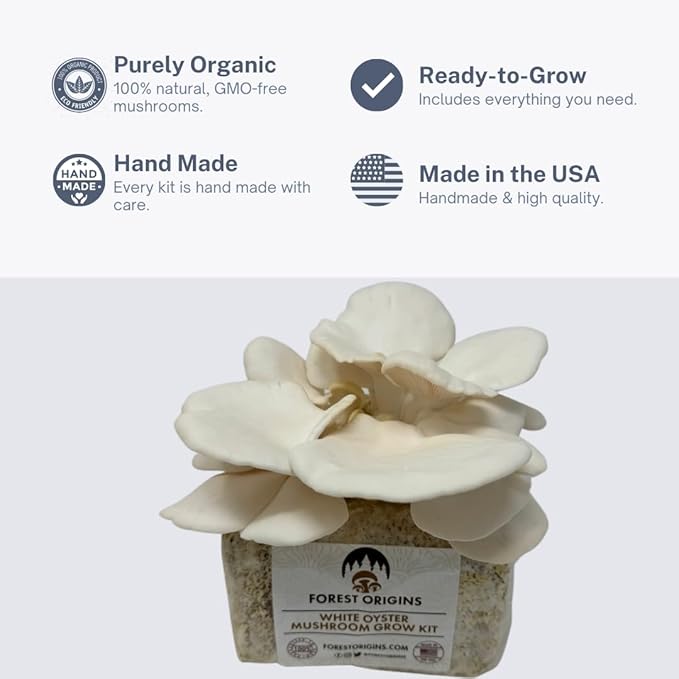 White Oyster Mushroom Grow Kit, Beginner Friendly & Easy to Use, Grows in 10 Days | Handmade in California, USA | Top Gardening Gift, Unique Gift