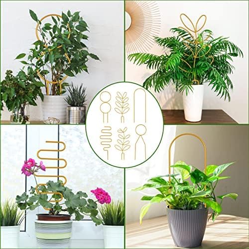 8 Packs Gold Metal Wire Trellis for Potted Plants, Climbing Plants, Indoor Houseplant Lover, Hoya, Pothos, Flower, Monstera