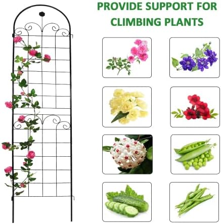 4 Pack Metal Garden Trellis for Climbing Plant Rose Stand, Cream White Outdoor 86.7'' Tall Flower Support Iron Garden Fence, Black 86.7''H