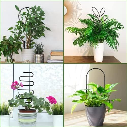 8 Packs Trellis for Potted Plant,Metal Wire Stake for Climbing Plants Indoor Houseplant Lover,Trellis for Garden Potted Plant,Hoya,Pothos,Flower,Monstera (Black)