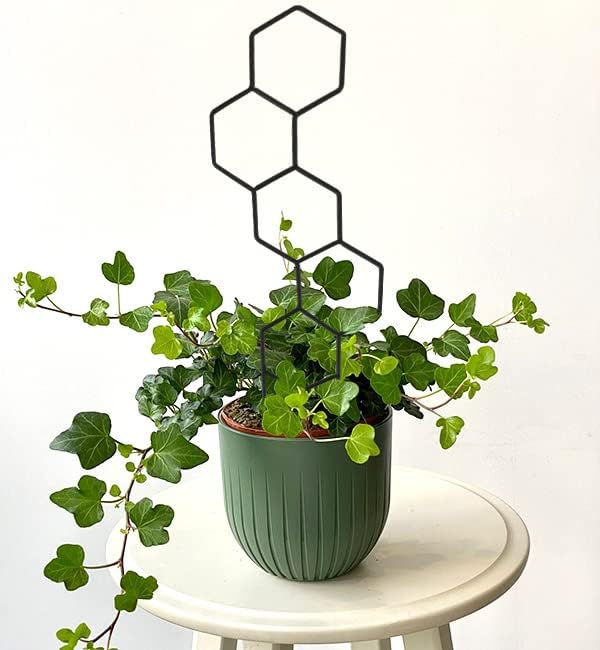 Plant Trellis for Climbing Plants Indoor, 15.94Inch Small Garden Metal Houseplant Trellis for Potted Plants Outdoor with 4 Patterns for Vine Ivy Flower Plant Support Lover Gifts Lattice