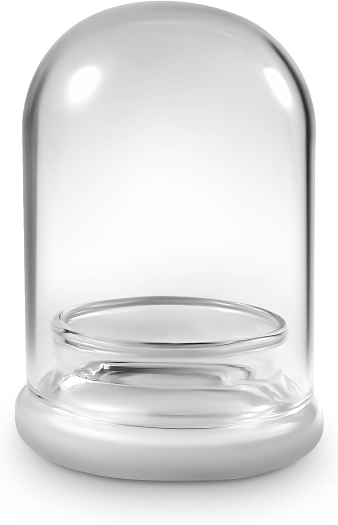 Bloomify Terra Gel Plant Propagation Seed Starter Tray with Glass Dome – Advanced Technology Gardening Supplies Plant Propagation Station for Succulents – Easy to Use Seed Starter Kit