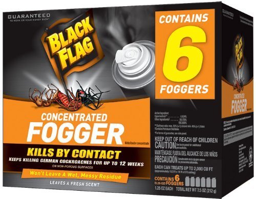 INSECT FOGGER CONC 6PK (A)