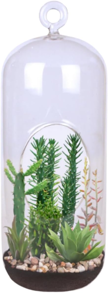 Create Your Stunning Succulent Oasis with Our Superb Succulent Terrarium Grow Starter Kit - Over 10 Varieties for Easy Indoor Gardening with Complete Supplies, Easy Growing Terrariums for Beginners