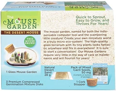 Mini Office Cactus Glass Terrarium Starter Kit with Complete Supplies - The Desert Mouse Tiny Garden - Fun to Grow, Low Maintenance - Perfect for The Indoor Office Or Home Tabletop or Desk!