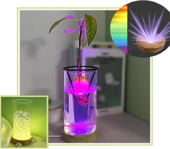 Avocado Seeds - Avocado Seed Starter Vase Rack for Mason Jar of Wide-Mouth 4Pcs, Avocado Seed Holder Triangular Metal Bracket for Family Friends and Gardening Enthusiasts (3 Pcs Vase Set)