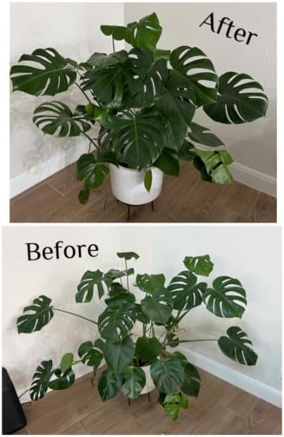 5Pcs Iron Monstera Plant Support, Uniquely Plant Support Stakes for Indoor Plants, Turtle Shell Bamboo Clamp Set for Thriving Growth Monstera Plant Support (White)