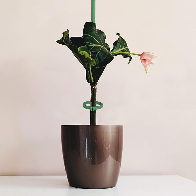 12 Inch Plant Support Stakes, with Adjustable Retaining Ring Green Plant Sticks Support Stakes for Indoor and Outdoor Plants,Flowers,Climbing(10Pcs)