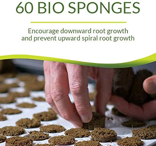 Park Seed Bio Dome Seed Starter Kit with 60 Cell Planting Block, Base Tray, Humidity Dome & 60 Bio Sponges