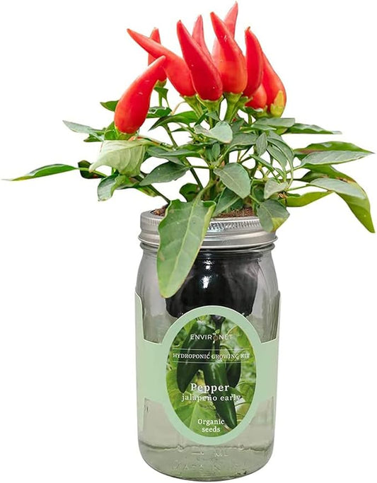 Hydroponic Pepper Growing Kit, Self-Watering Mason Jar Vegetable Starter Kit Indoor, Grow Peppers from Organic Seeds (Jalapeño Early Pepper)