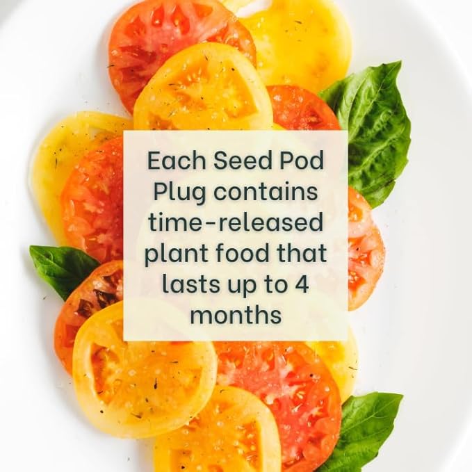 Genovese Basil - Complete Seed Pod Plugs with Plant Food - 10 Pods for Hyrdoponic Gardens, Click and Grow, Lettuce Grow and Outdoor Gardens