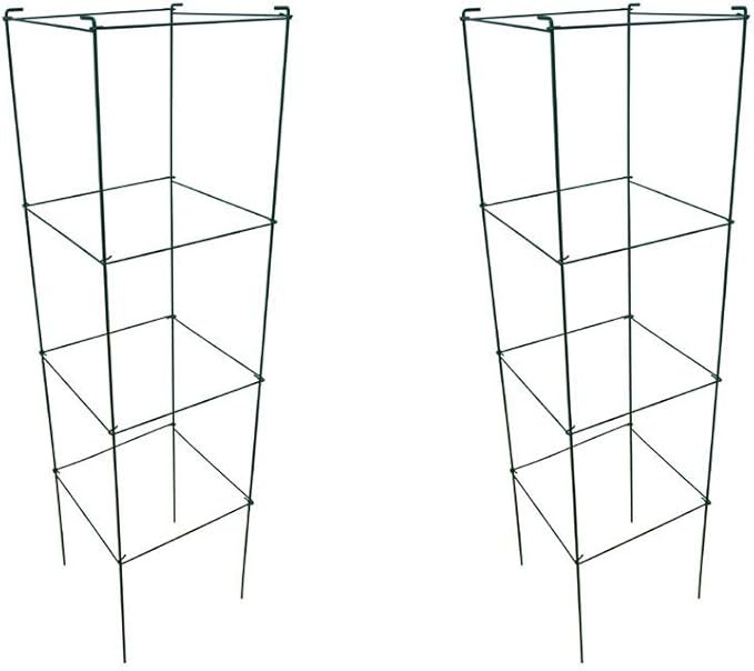 Green Square Folding Tomato Cage Plant Support Stake Tower 12 inch by 46 inch, Pack of 2 Sets