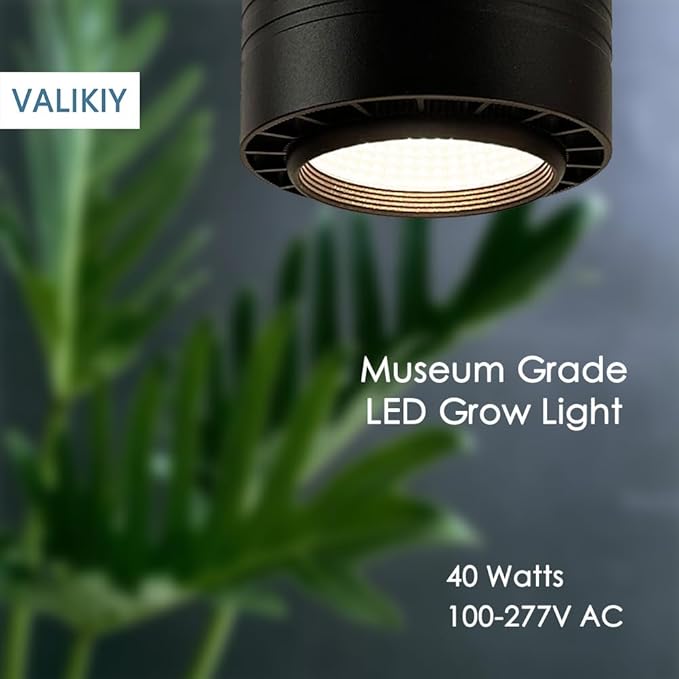 Hanging Grow Light 40W Large, Full Spectrum Warm White Color, with Timer, Plug-in Pendant Grow Lights with 15FT Fabric Power Cord, Decorative Light for Indoor Plants, Flowers