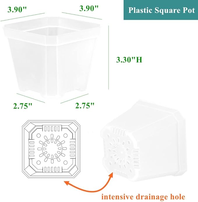 BangQiao 30 Pack Small 3.90 Inch Plastic Square Nursery Pot, Plant Starting and Transplant Planter Container with Drainage Hole for Seed Germination, Clear