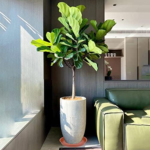 4 Pack Plant Saucer, 13 14 16 18 inch Heavy Duty Plastic Plant Saucer Round, Plant Tray for Pots, Flower Plant Saucers for Indoors, Plant Trays for Planter 12-15" (14 inch, Terracotta)