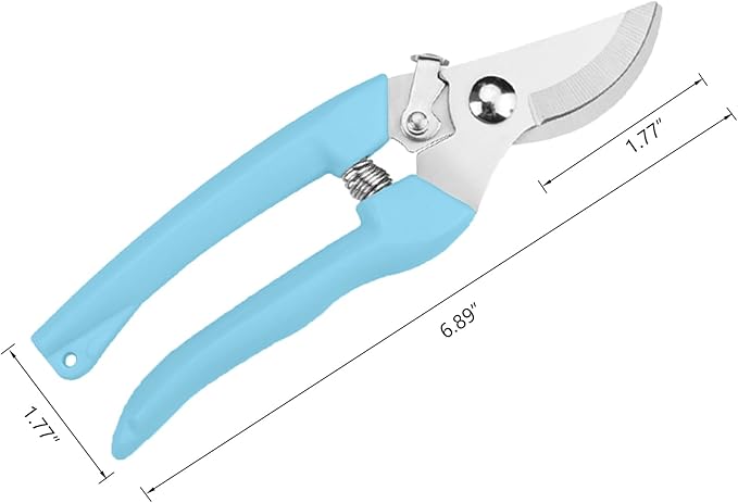 Garden Scissors for Plant, Tip Pruning Shears for Cutting Flowers, Trimming Plants, Bonsai and Fruits Picking (Blue Bypass Blade Pruner)