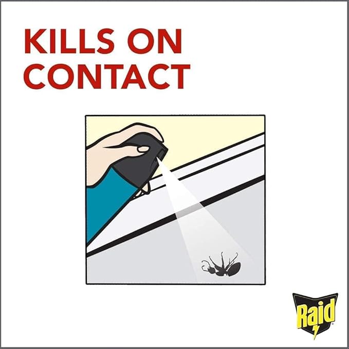Raid Flying Insect Killer - Effective Bug Control Spray for Indoor & Outdoor Use - Fast-Acting Pest Repellent, 15 Oz (Pack of 8)