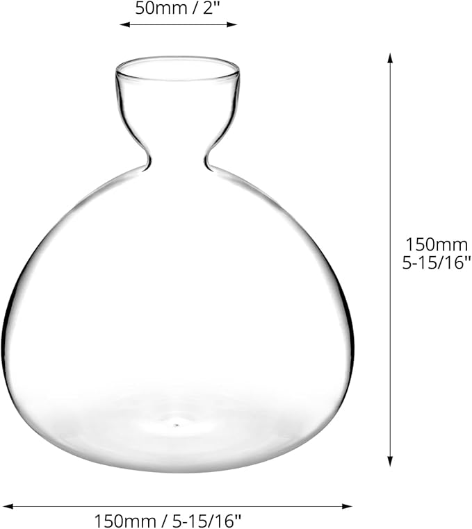 QWORK Avocado Seed Starter Vase, 2 Pack Glass Avocado Seed Growing Vase -Avocado Seed Sprout Glass Container, Tapered Base Design, 36oz Capacity -for Hydroponics Plants Home Office Wedding Decoration