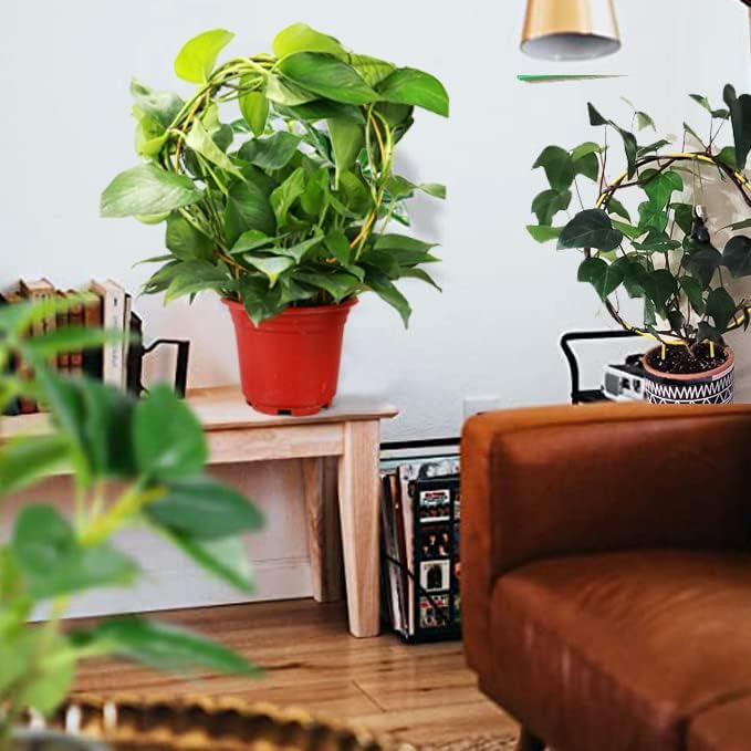 2 Pack Circle Trellis for Climbing Plants Indoor, 15" Gold Small Plant Support Stakes, Flower Houseplant Hoya Support for Potted Plants & Garden Stem Vines