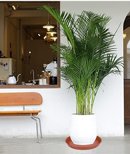 2 Pack of Extra Large Plant Saucer 24 26 inch (22.5 inch Base), 4.2" Depth, Plastic Birdbath Bowl for Indoors Outdoor, Deep Heavy Duty Plant Saucer Dish for Garden (26", Terracotta)